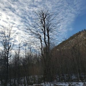 Meet your Posher, Aurely